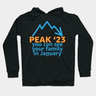 Peak 23 You Can See Your Family in January Hoodie